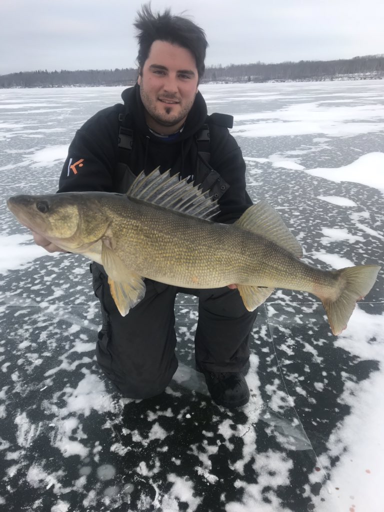 You’ve got to love catching back to back double digit walleye! This girl wasn’t as thick as most but still measured 30.5” 10.1lbs. @GloProLures <a href="/KamookiLures/">Kamooki Lures</a> <a href="/amphibiaeyegear/">Amphibia Eyegear</a> <a href="/aquavu/">Aqua-Vu</a> #hardwaterhoghunting #walleye #catchnrelease