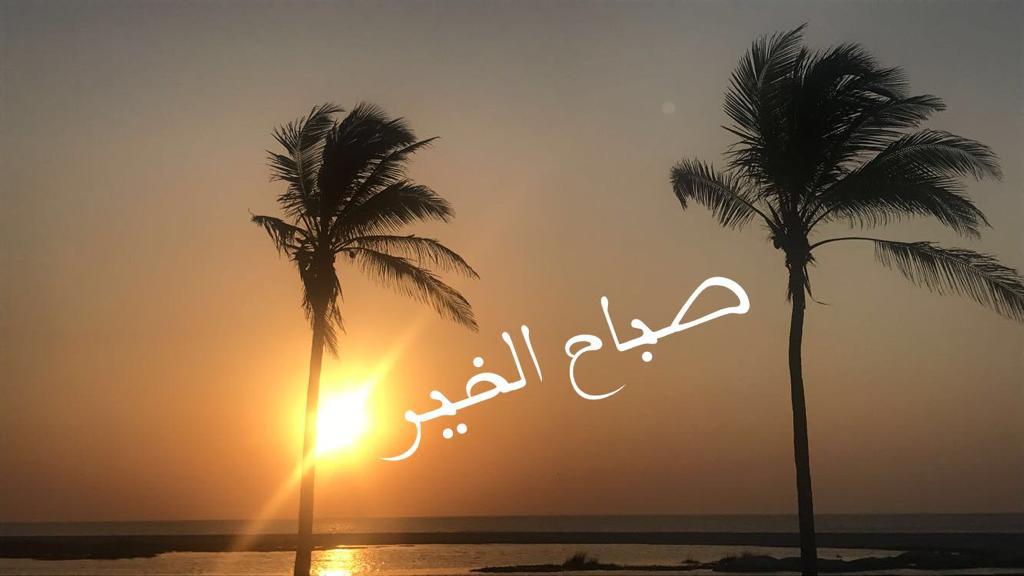 بو راشد سفير الكلمة الطيبة الخليجية tweet media