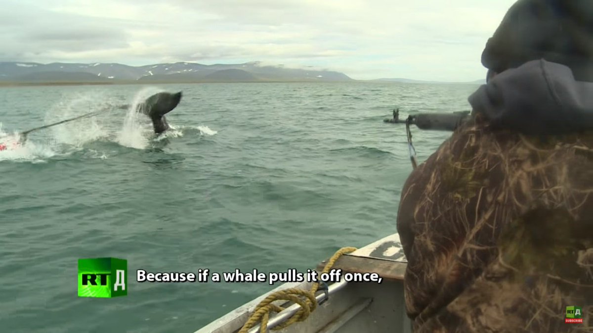 鯨類に感謝 Thanks Cetacea くじらの消費者運動 Yundagananikayoの者 V Twitter ロシアには 捕鯨民族 が現存致します 先住民生存捕鯨です 狩猟方法は ブイの付いた銛 もり を手投げし クジラの急所を猟銃で撃ち抜きます 国際会議で捕獲の上限頭数が定められ
