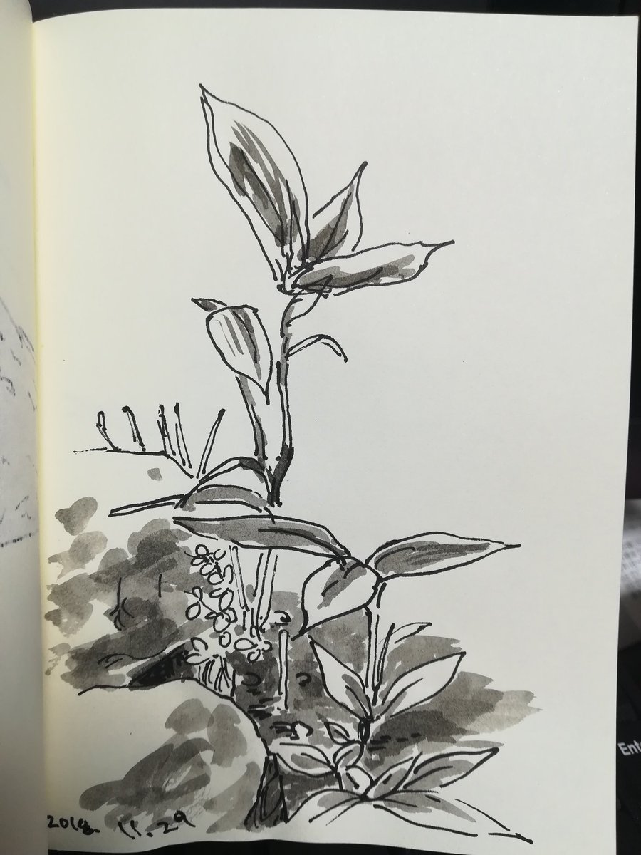 #sketch 