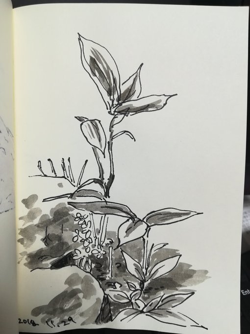 #sketch 