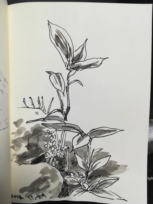 #sketch 