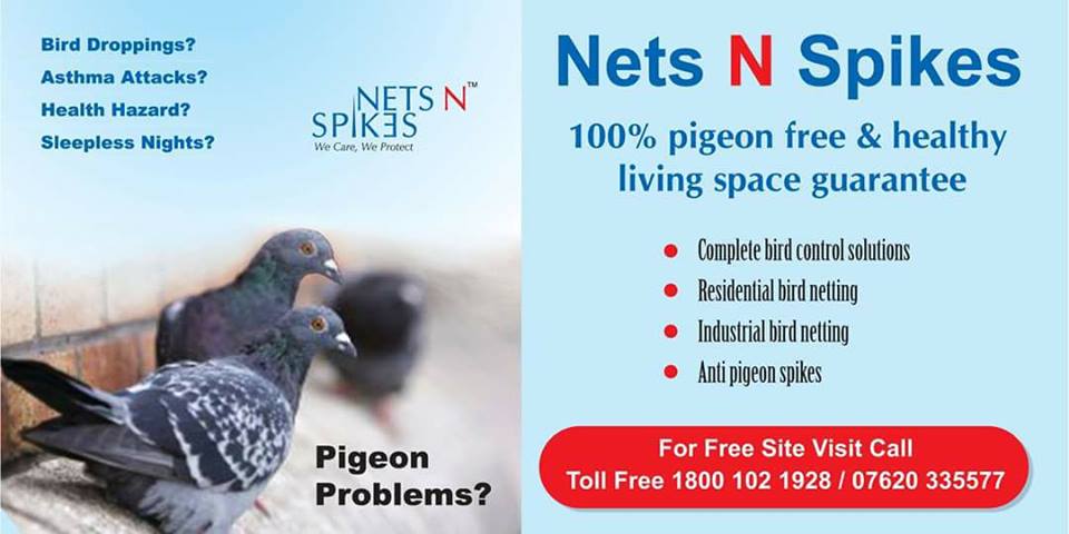 We provide the technologically advanced bird menace solutions in #bird #proofing your #residence and #office with the #BirdSpikes and #pigeonspikes.

Call Us: 1800 102 1928
Email : info@netsnspikes.com
Visit Here : netsnspikes.com