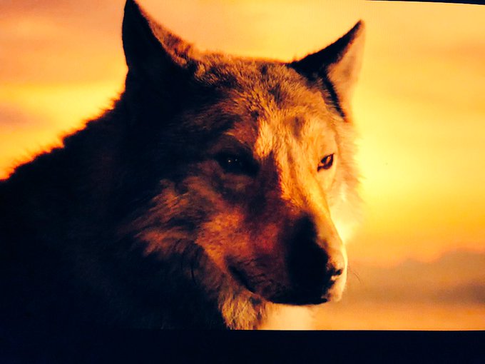 What&rsquo;s happening ? https://t.co/o5NVMDHHGr<a href="/tag/mytwitteranniversary"class="tags"><span>#mytwitteranniversary</span></a>