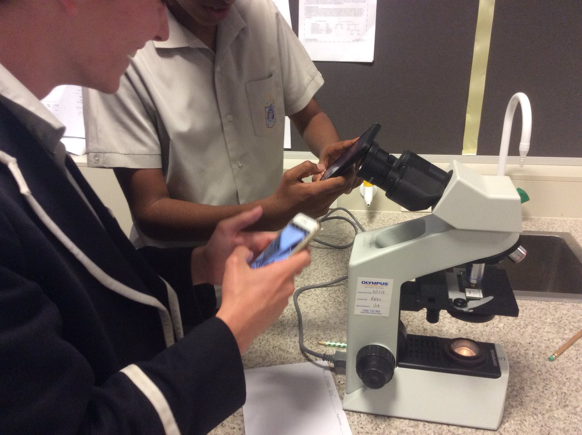 BeckRSaunders's tweet image. Love when students get excited about what they see down a microscope #Year11 #Biology #TransitionProgram #microscopeskills #biologicaldrawings #gooduseofphonesinaclass