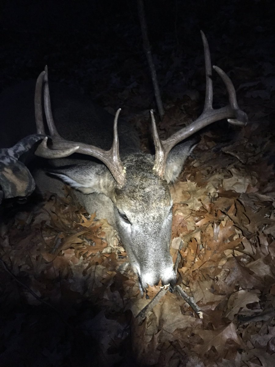 Tjam87's tweet image. Rattled in this guy Sunday.