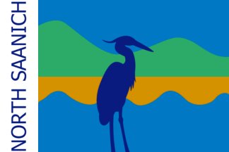 29: NORTH SAANICH (5.81 points)- sine wave generators are cool- the "NORTH SAANICH" on the left makes me so angry, because the rest of the flag follows the rules! And is pretty good! - honestly, that's a cool looking bird