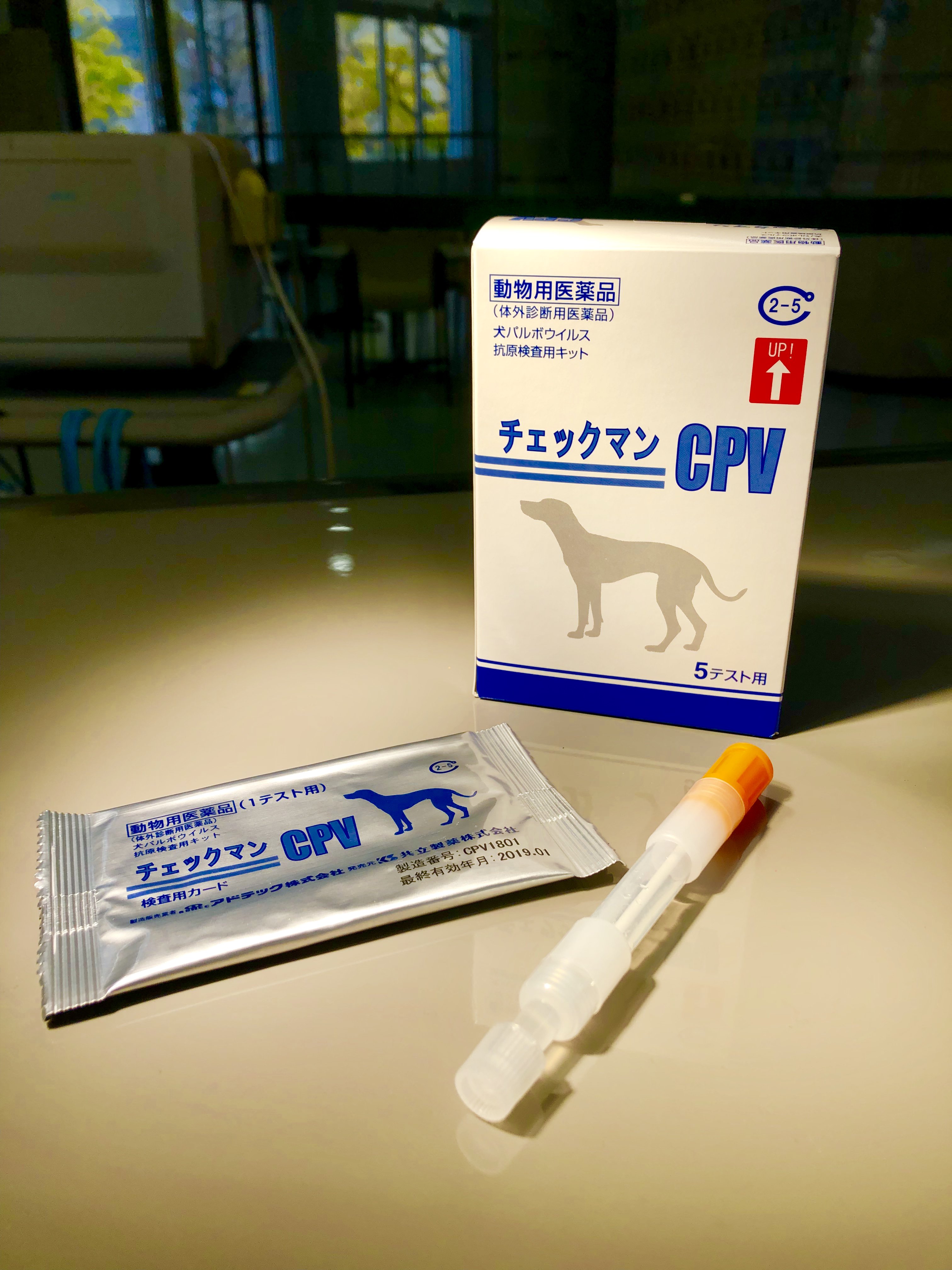 Twitter 上的 公式 仙台総合ペット専門学校ツイッター 動物衛生看護科 です 今日の実習風景 イヌパルボウイルス感染症 という恐ろしい病気があります この恐ろしい病気の検査キットについて学びました その名も チェックマンcpv そんなチェックマンcpvの