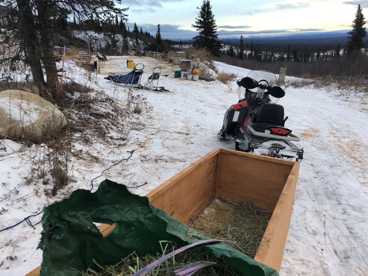 The trail out of the kennel is very icy — a bit too treacherous for young pups — so we filled the barkbox with some fresh straw bedding. It smelled sweet, like horses.