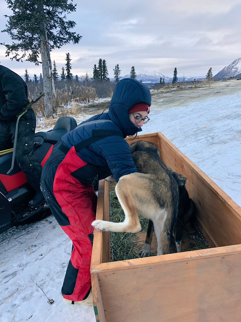 Then it was time to load up the pups.