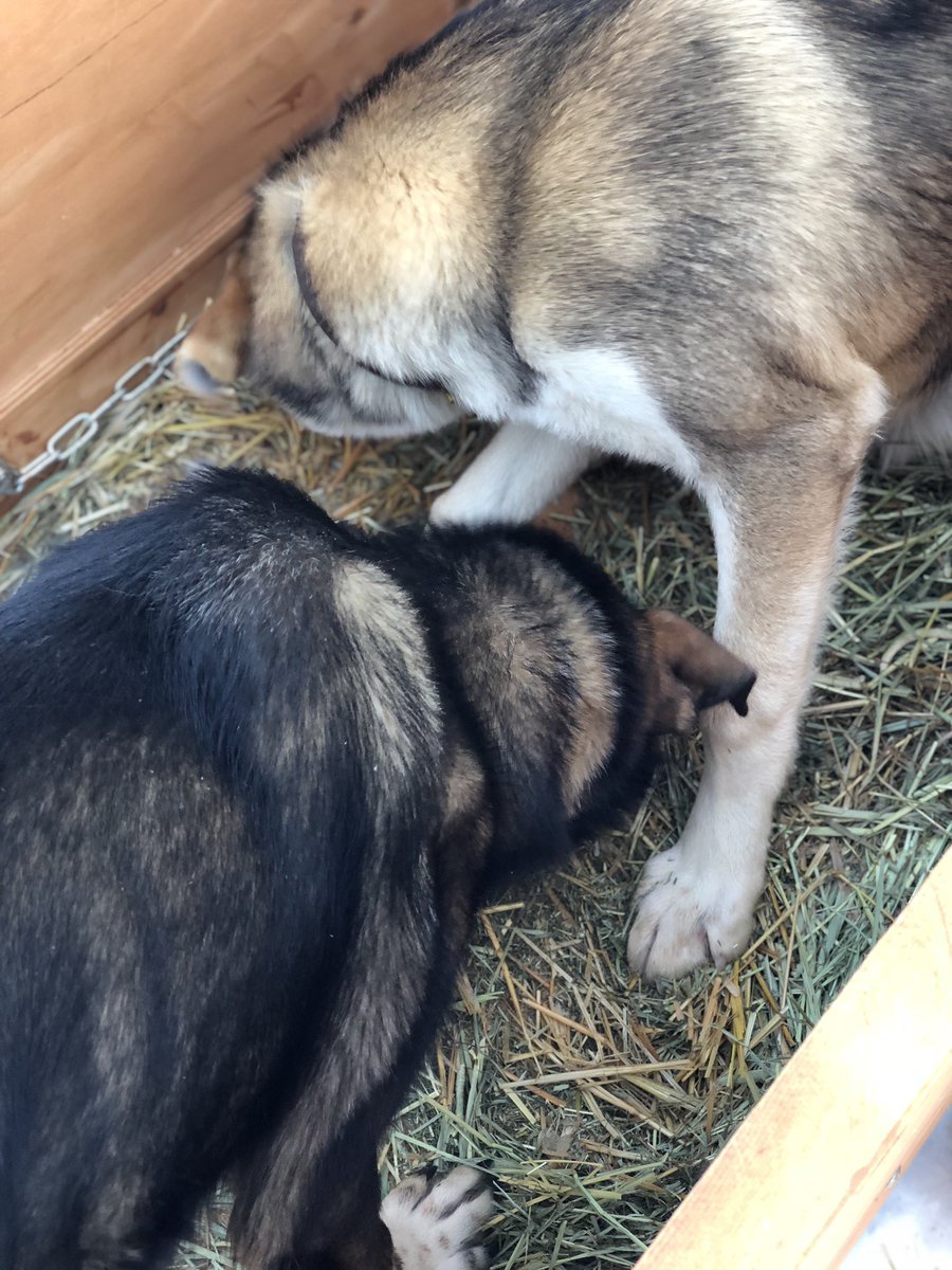 What do you smell in there, frens?