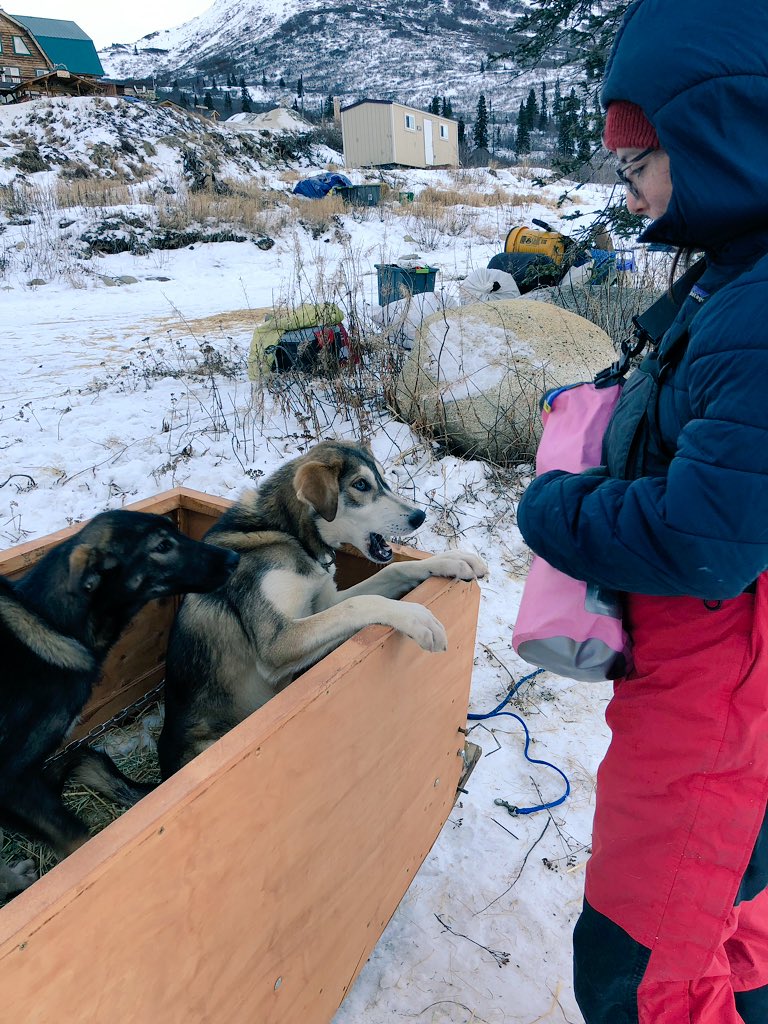 Things were already getting exciting! &ndash; bei  Alpine Creek Lodge