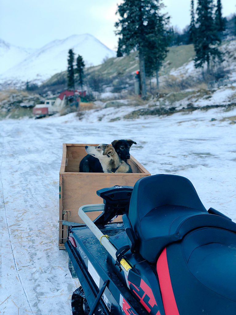 Things were already getting exciting! &ndash; bei  Alpine Creek Lodge