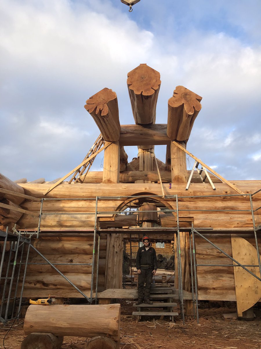 Time for a lot of log rafters.