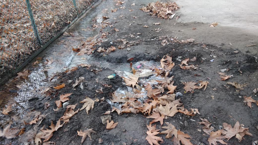 Sjunaidtweets's tweet photo. #PHE department #Ganderbal poses threat to #chinars.
@jandkgovernor @diprjk
@KVijayKumarIPS @JKgrievance
@dr_piyushsingla
#SaveChinar
#Kashmir
#JammuAndKashmir https://t.co/HX2YbxcZBR