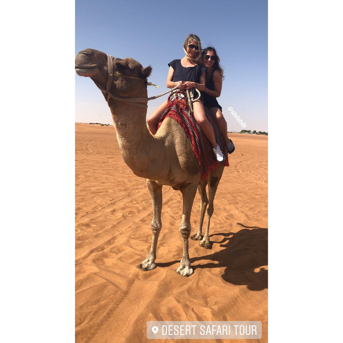 alphatoursae's tweet photo. “Alpha Destination Management hosted the Desert Safari for the Celebrity group co-ordinated by Destinology - Cici Coleman, Shiarra Bell and Kate Lawton – they enjoyed a beautiful day amidst the golden sands while on a desert…”
#Destinology #DubaiSummer #AlphaTours https://t.co/IuqAMHgzfI