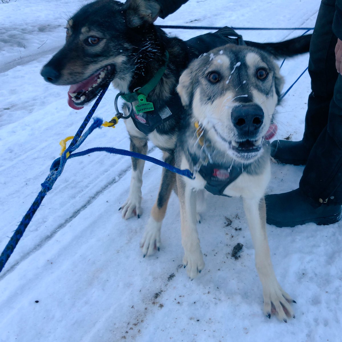 OMG THAT WAS SO FUN BLER