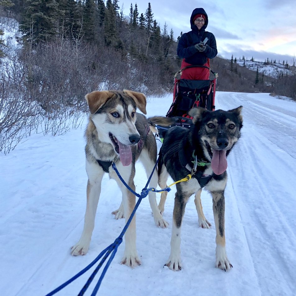 Pretty soon, every pup was getting his or her turn.