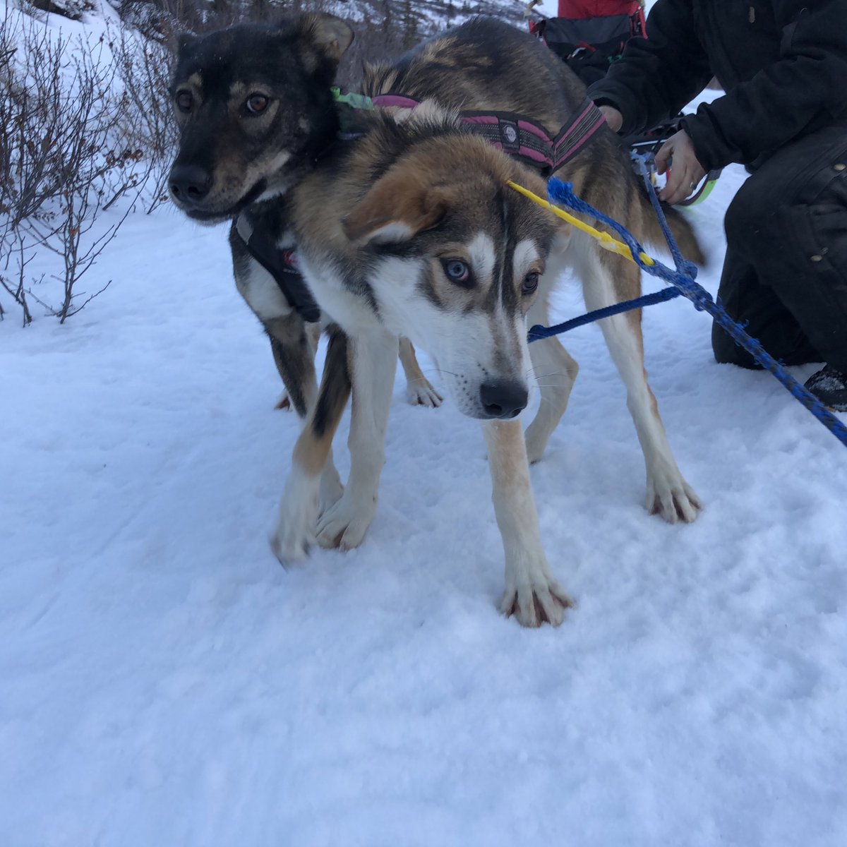 There were some moments of confusion...