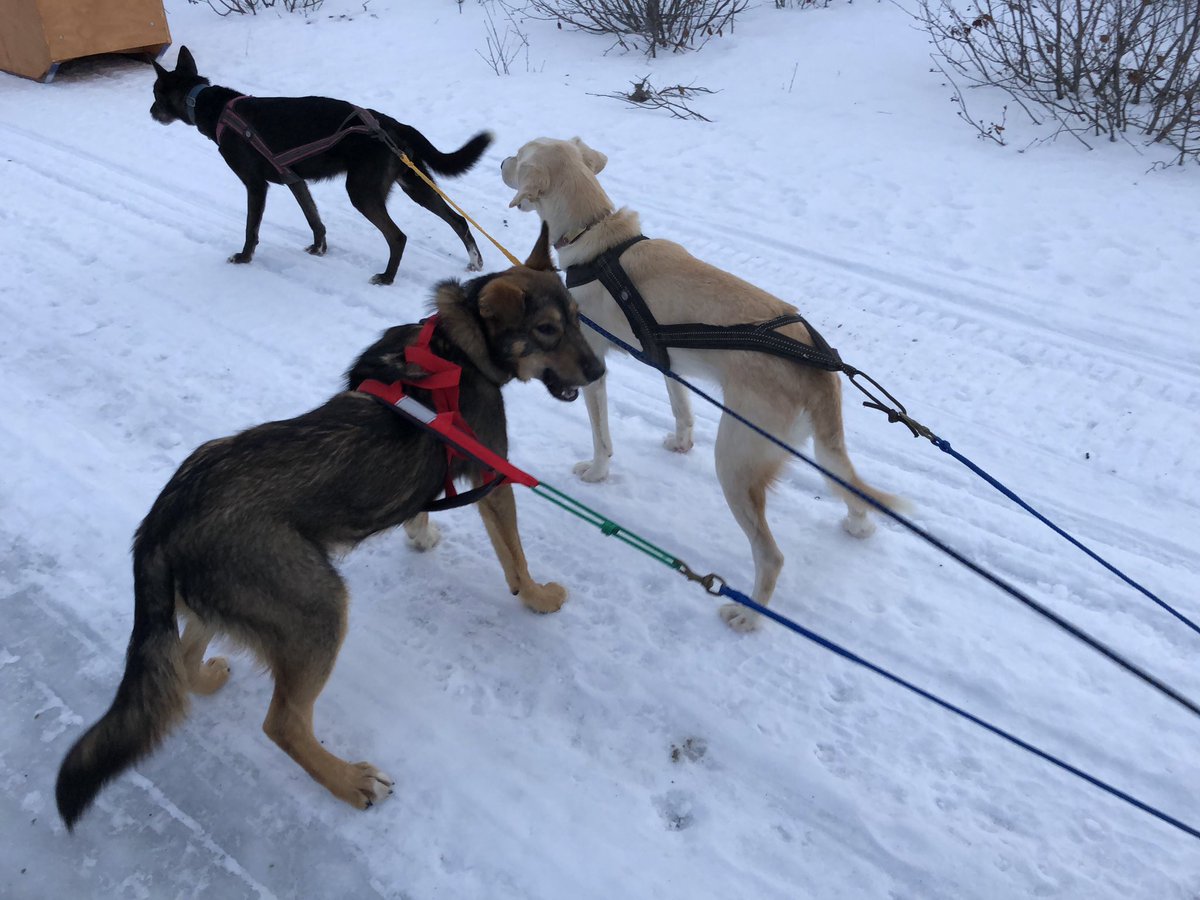 There were some moments of confusion...