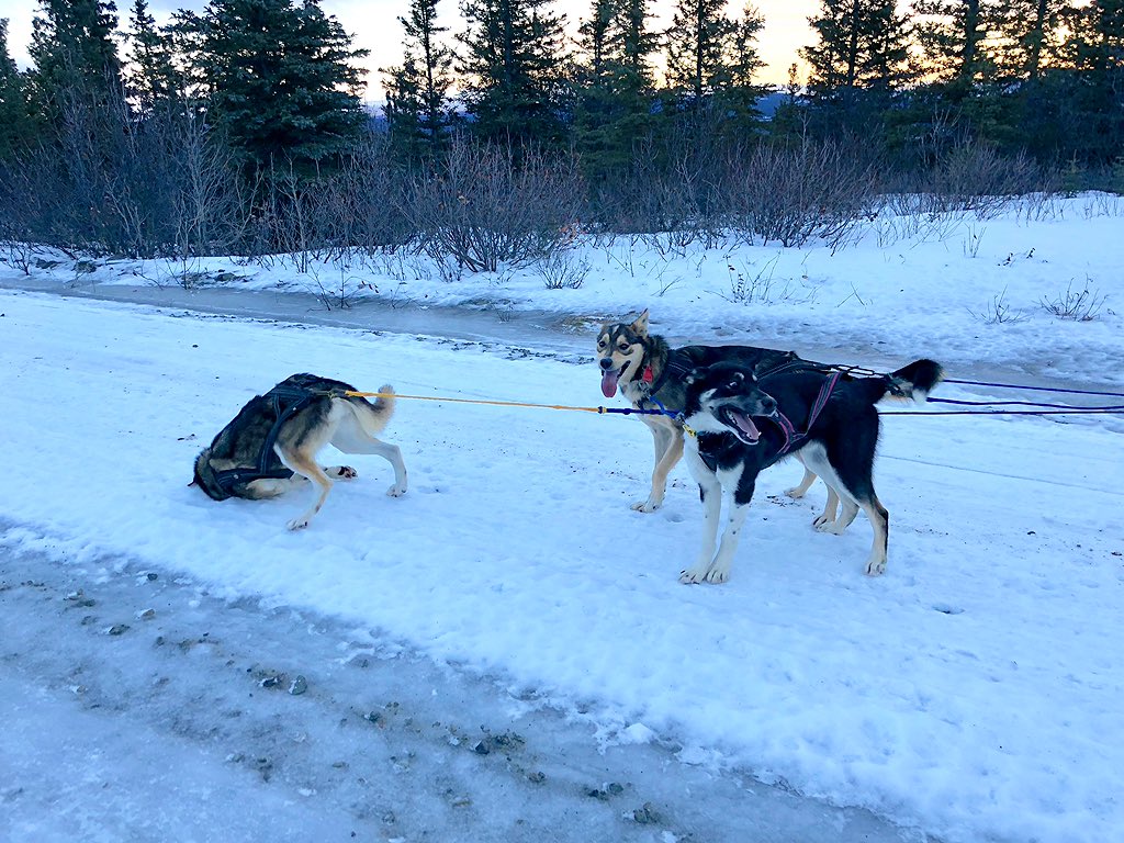 “see lil frens, this is how u scratch ur itchy face”