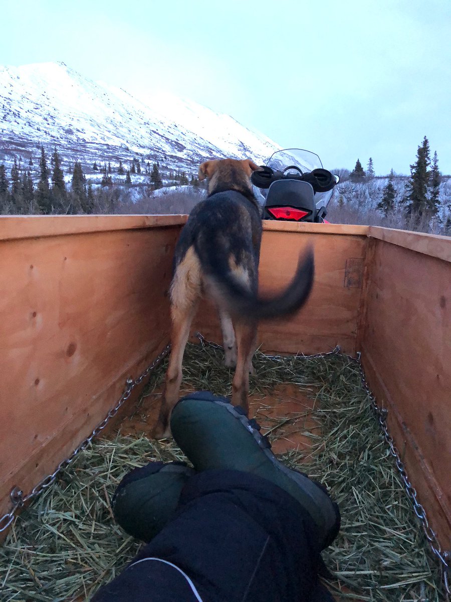 But for now, it’s time to rest.The end.