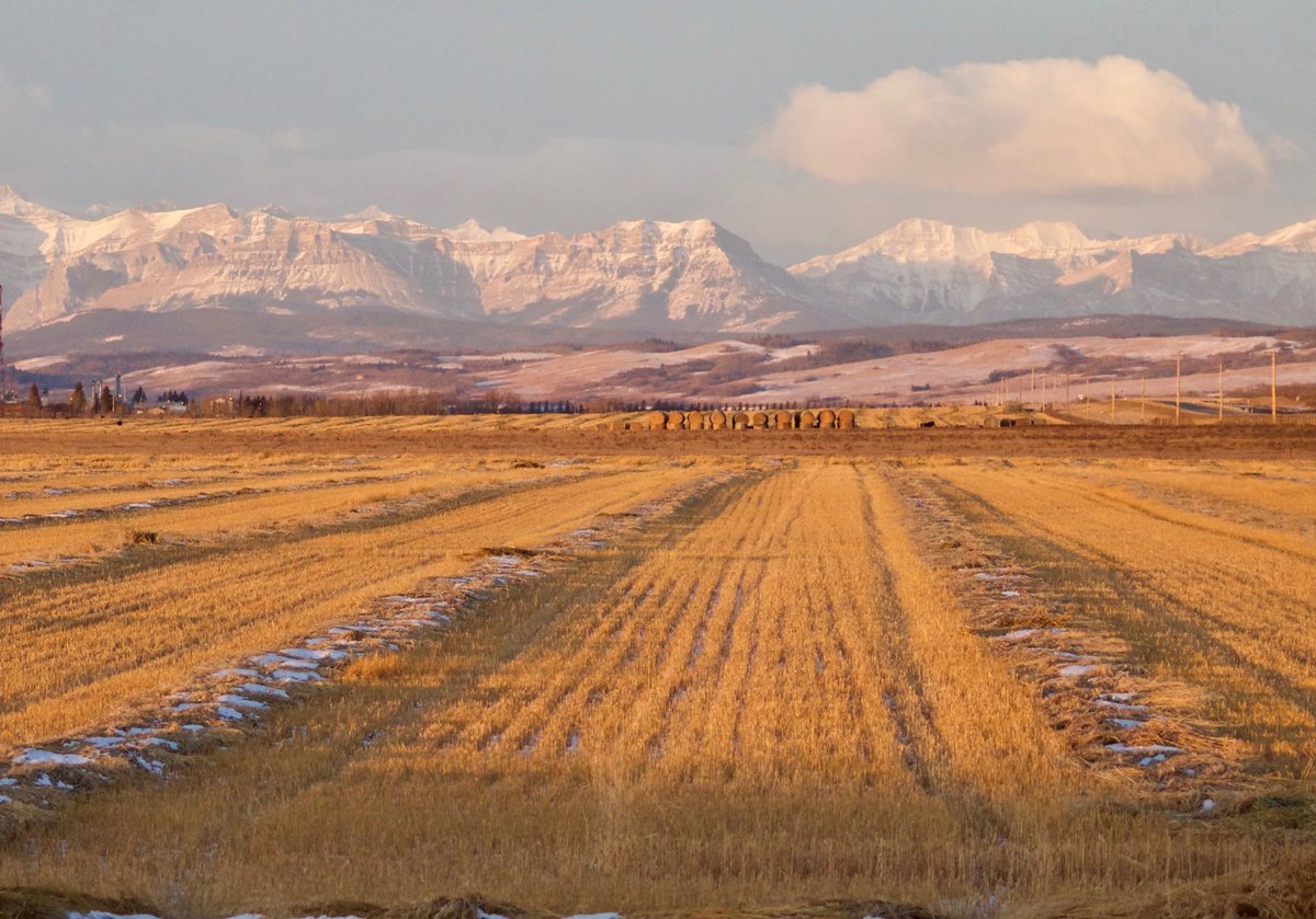 #Cochrane - ‘where the Town meets the Countryside’ &amp; ‘where the Prairies meet the Mountains’ - a beautiful place to call home.