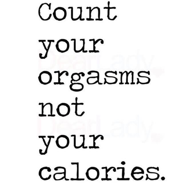 KitteninAus (@kitteninaus) on Twitter photo 