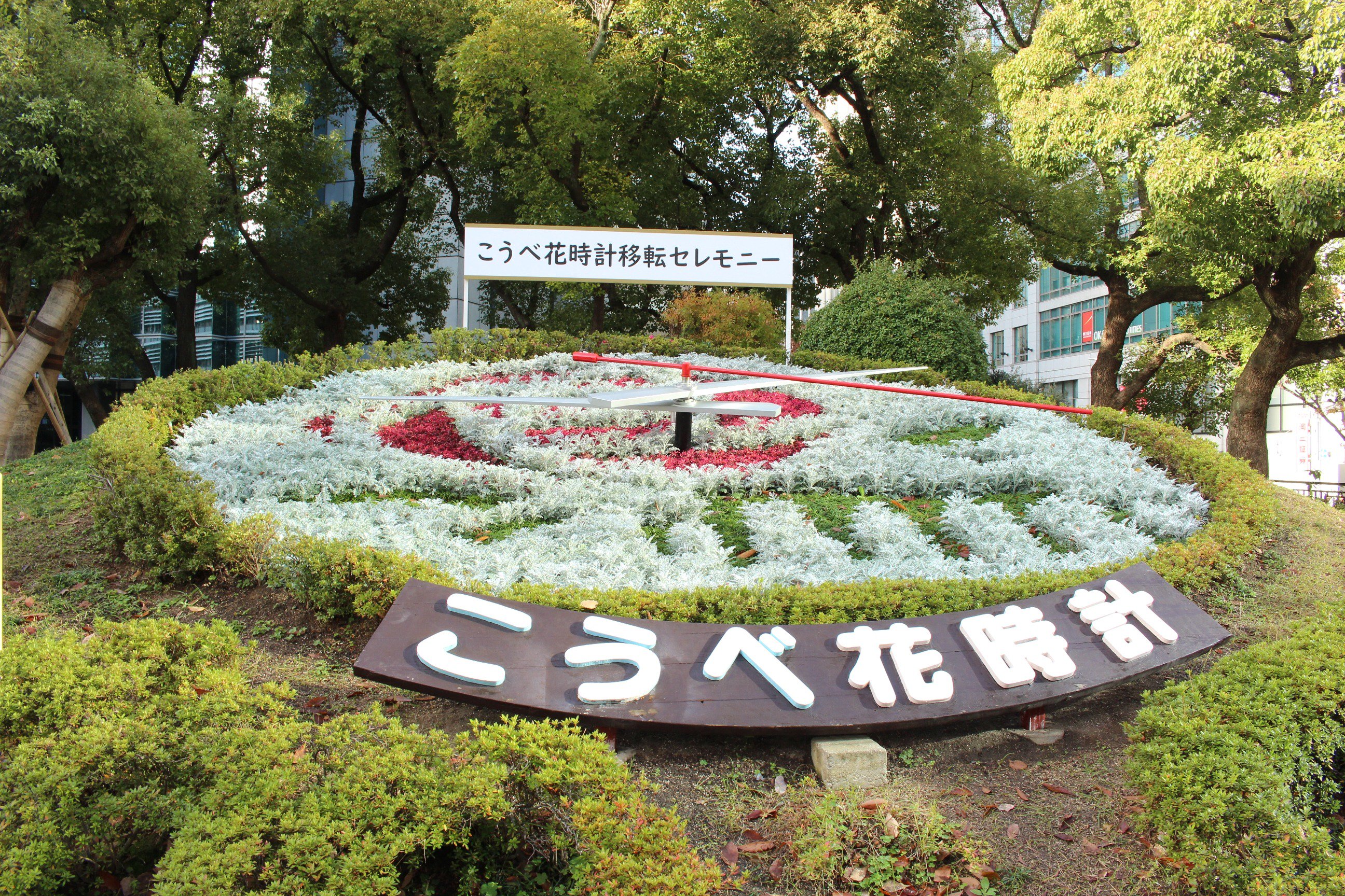 神戸市広報 本日11月29日 こうべ花時計の移転セレモニーを開催しました 60年以上にわたり時を刻み続け 神戸 のシンボルの１つとして愛されてきた日本初の花時計は 来年３月に東遊園地に暫定移転します T Co Sbzi6vmiul T Co