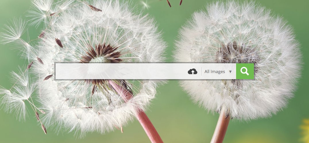 ImagesBlog's tweet photo. Great royalty free images, take a look at 123RF... https://t.co/mQZqr0Hplc #photo #royaltyfree #nature https://t.co/LqRO0axfmD