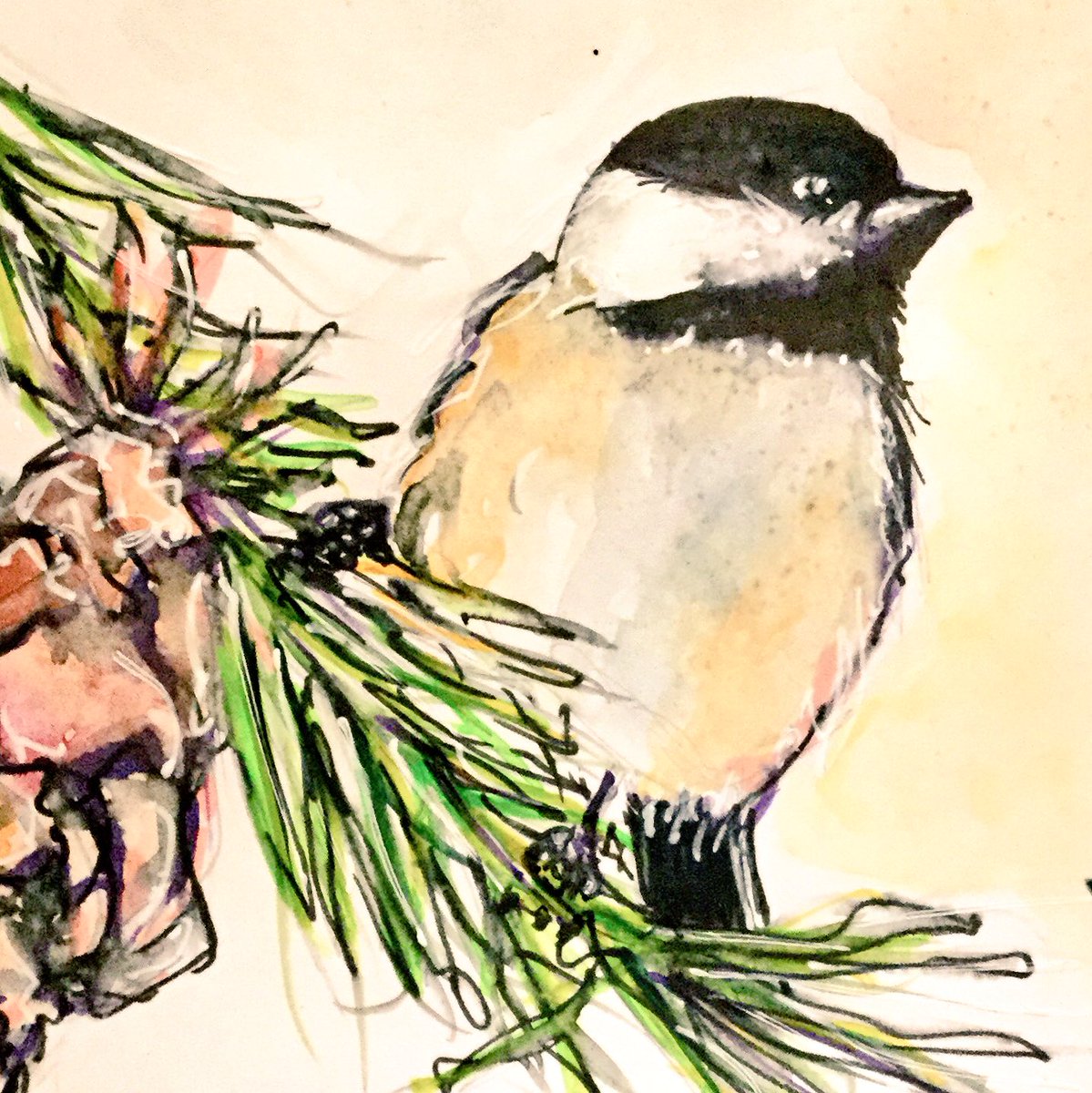 BNjunkie's tweet image. #sketchbox morning warmup