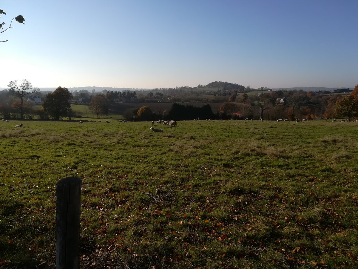 paysdevire's tweet image. On aime le Bocage en automne !