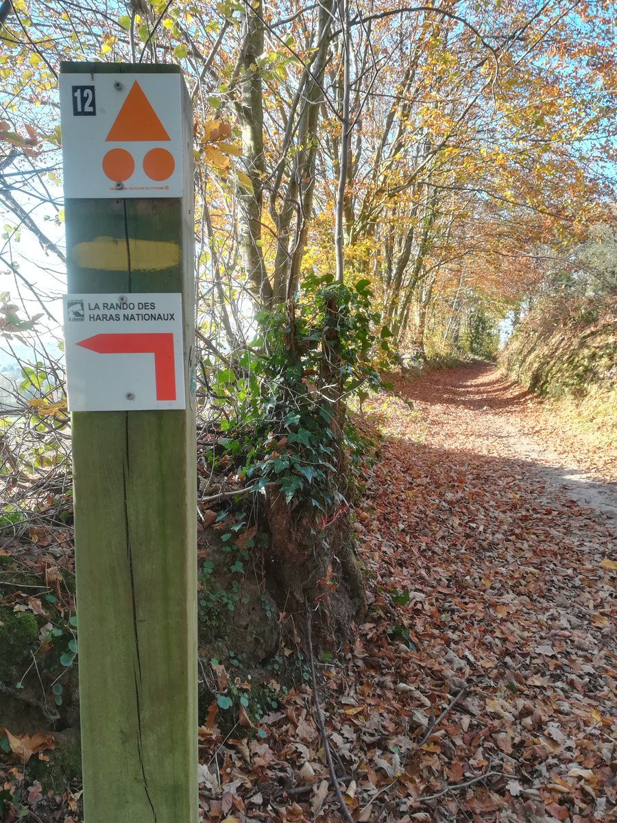 paysdevire's tweet image. On aime le Bocage en automne !