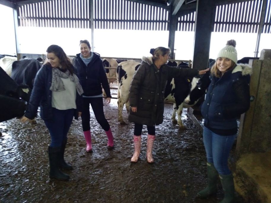 NSF_Agriculture's tweet image. Great to see our Beef and Lamb office team, Emma Sully, Erin O'Brien, Jenny Bennett, Polly Colgrove, lead by Roger Briddock, our Agriculture Manager, on an Oxfordshire farm seeing the job first hand. #farming #excellence #DaysOfOurLives