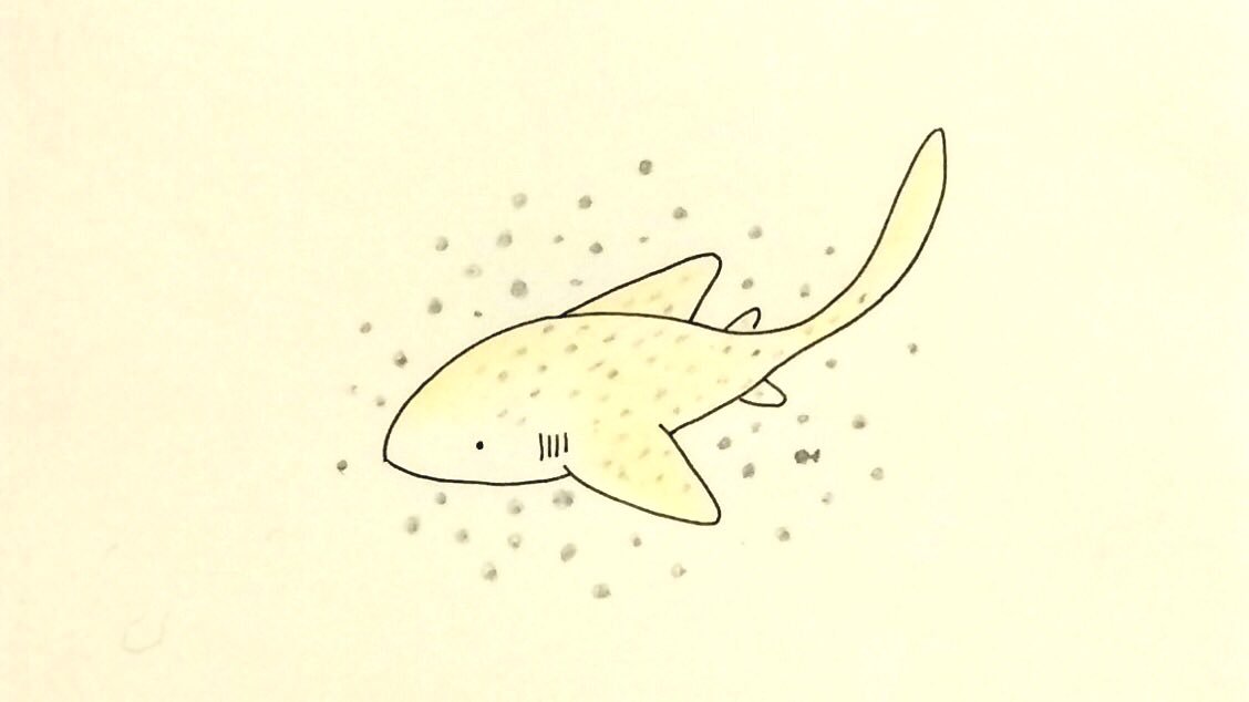 けいこっとん ゆるサメイラスト トラフザメ 点々がかわいいです 勢い余って 周りまで点々だらけにしてしまいました 魚が1匹だけいます Illustration イラスト Cute Shark サメ トラフザメ サメ好き