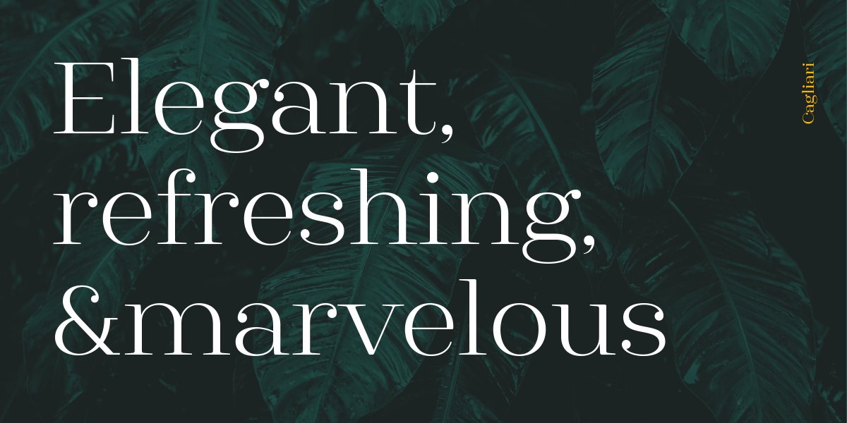 Latinotype tweet media