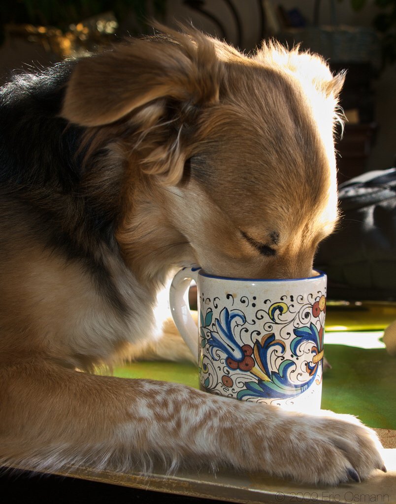 Good Morning! The #coffee is ready!