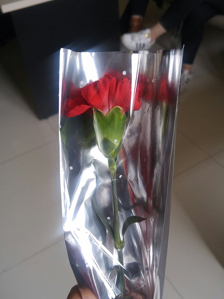 Hastanemiz tıbbi sekreterler gününü kutladı bugün. Ben tıbbi sekreter değilim dedim 'olsun' dediler. Gelin hadi buraya sosyal hizmeti anlatin.