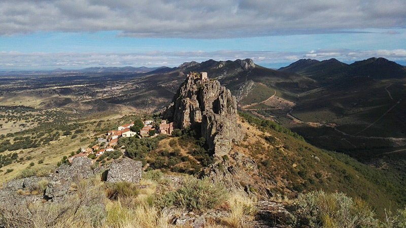 Raidvibes tweet media