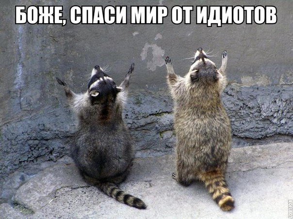 https://pbs.twimg.com/media/DtK9p9WW0AAA7NC.jpg