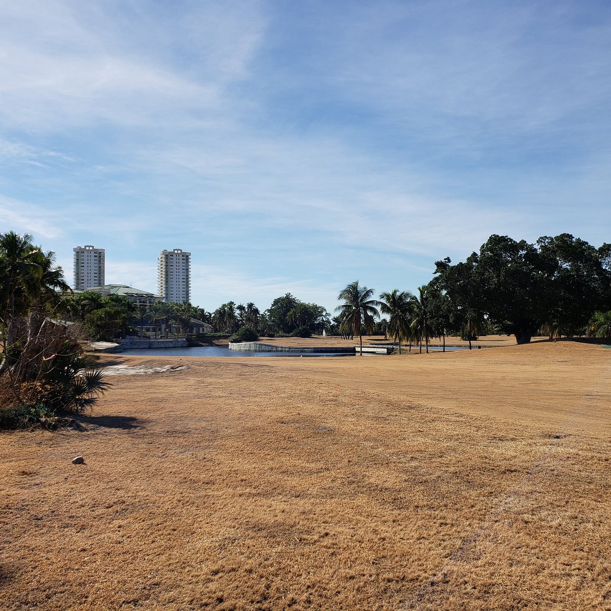 danjeffer's tweet photo. This place is dead anyway.......but not for long! Construction starting in the coming weeks..... #golfcoursearchitecture #golfcoursearchitect #golfcoursedesign #renovationproject #golf #green #island #freshstart #brown #gold #gngcd #asgca #eigca https://t.co/IQdfTzYeJK