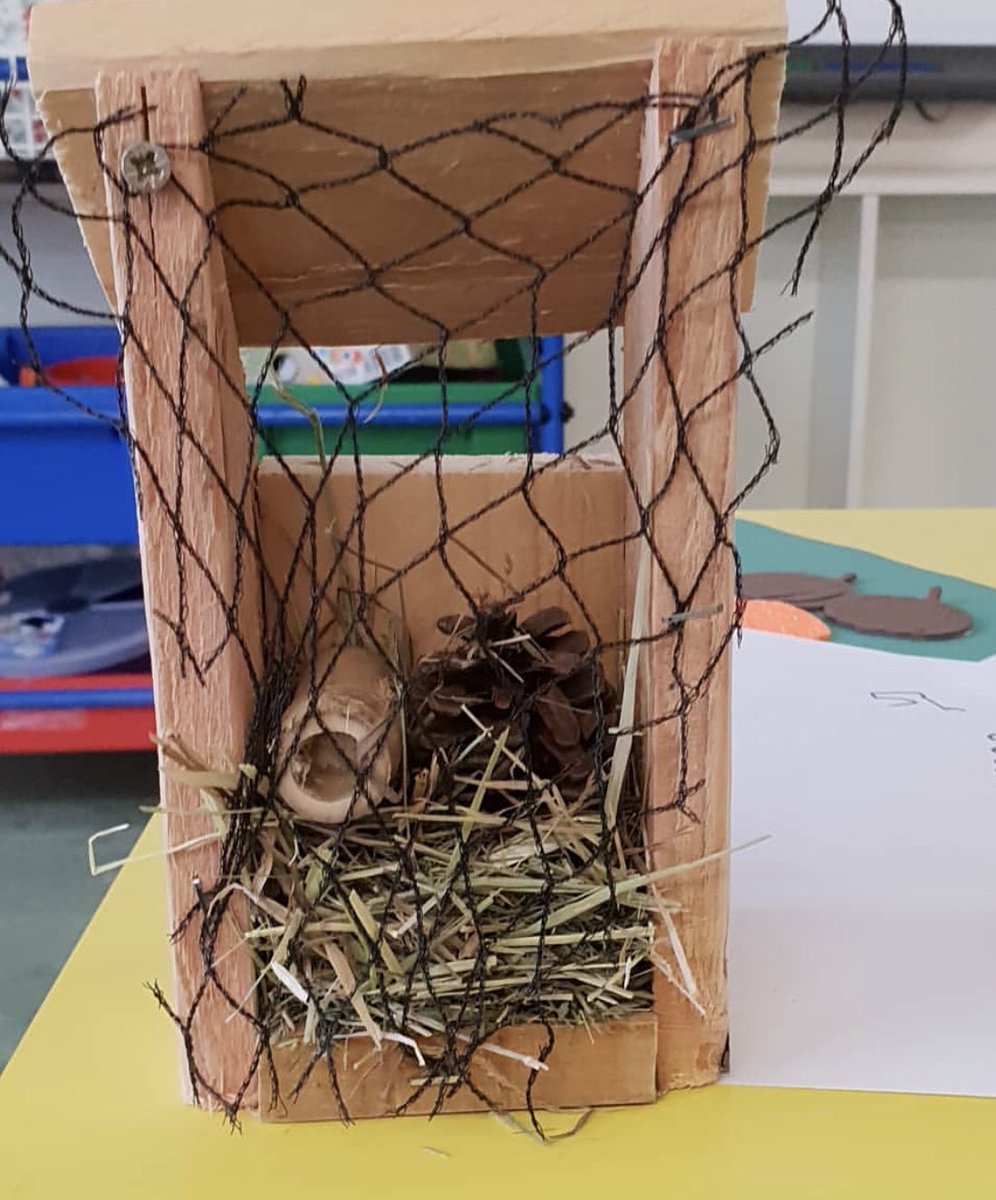 ecowarriorscw's tweet image. Now all we need are the bugs! 
#scienceworkshops #BeyondTheClassroom 
@FamiliesMancMag @FamiliesChesMag @TimpFood @didsburymag @LoveAltrincham @_KidsPlanet @Kids_Tab @KidsAllowed @StVincentsPr @BBCEarth @EarlyYrsEdu @SMWprimary @SpringfieldSPS @PrincipalsEdu
