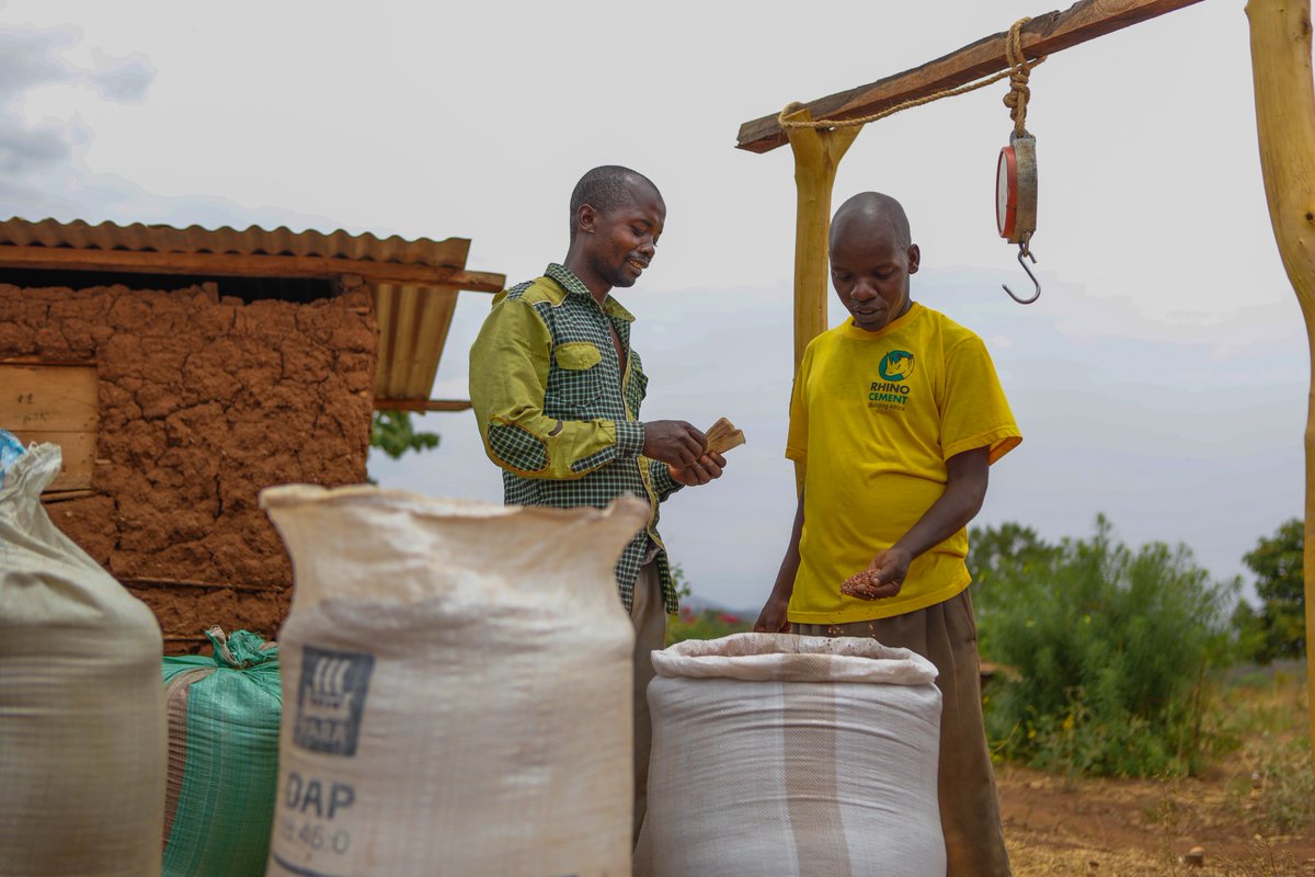 ICRISAT ESA tweet media