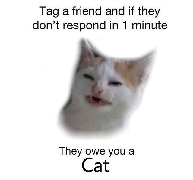 VanessaMerrell's tweet image. @ everyone