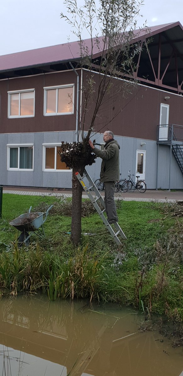 VBBuitenZinnig's tweet image. Morgen weer aan de slag op de #ProefTuin. Komt u ook eens langs? #Dordrecht neem alvast een kijkje op de website: stichtingbuitenzinnig.nl  of bekijk een van onze video&apos;s op #YouTube #Permacultuur #Duurzaam  youtube.com/channel/UCy2I2…
