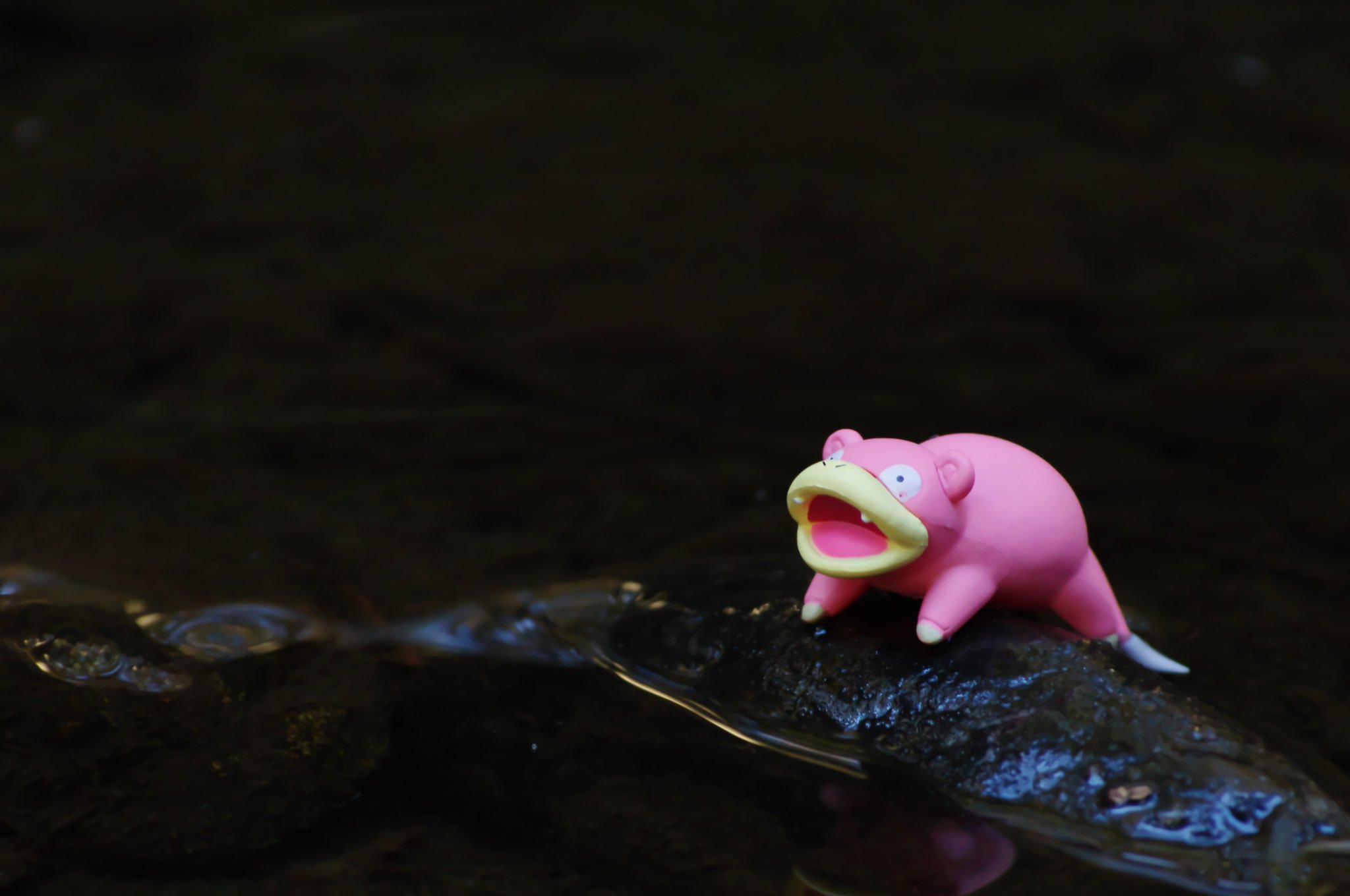 リアポケ 님의 트위터 No 079 ヤドン Slowpoke 脱力 ポケモン写真 ポケモン野外撮影 Toyphotography Pokemon Realpokefinder Realpokemonsnap リアルポケファインダー リアルポケモンスナップ ポケモンテラリウムコレクション T Co Dqrt8cjzft 트위터