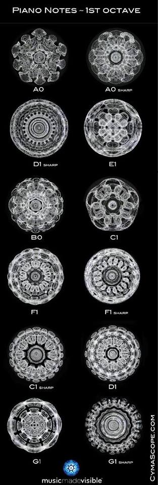 <a href="/SimoneSchnall/">Simone Schnall</a> <a href="/MrKeenan/">Jamie Keenan</a> Amazing. Photographs of musical notes vibrating in bowls of water.