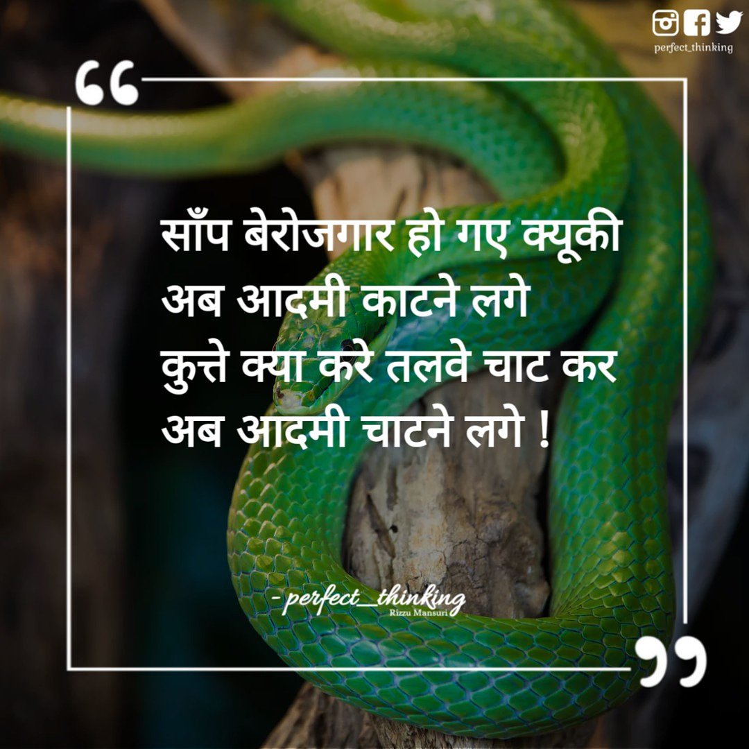 perfect_rizzu's tweet photo. ⓟⓔⓡⓕⓔⓒⓣ∽ⓣⓗⓘⓝⓚⓘⓝⓖ https://t.co/dih4cqSnuA