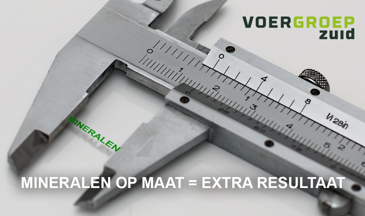 Mineralen zorgen voor betere gezondheid, betere transitie, hogere productie, langere levensduur en beter economisch rendement. Voergroep Zuid maakt het eenvoudig om dit te bereiken met mineralen op maat.
Meer weten? Vandaag zijn we nog te vinden op de RMV in Gorinchem, stand 107.