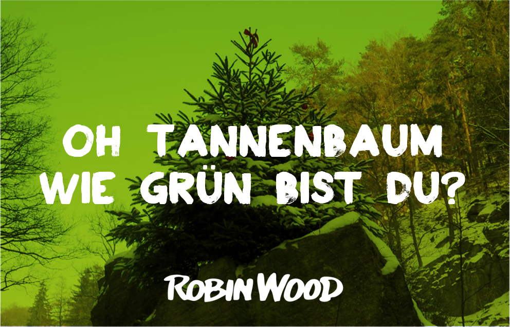 robin_wood's tweet photo. Die meisten der 28 Millionen in Deutschland verkauften Christbäume kommen aus Plantagen, die gedüngt und mit Pestiziden bespritzt werden – eine enorme Belastung für Böden und Gewässer. Eine aktuelle Liste mit Bio-Bäumchen findest du hier: https://t.co/pBUZdrFfwa https://t.co/9FzfSeKTti